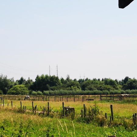 Ruime Romantische Blokhut Zwaanshoek Exteriér fotografie