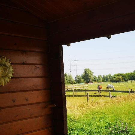 Ruime Romantische Blokhut Zwaanshoek Exteriér fotografie