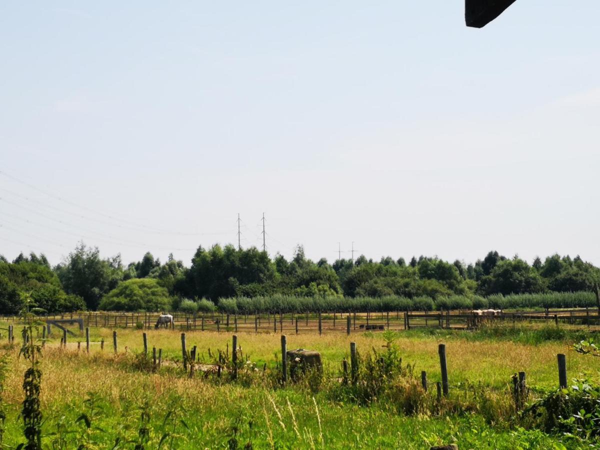 Ruime Romantische Blokhut Zwaanshoek Exteriér fotografie