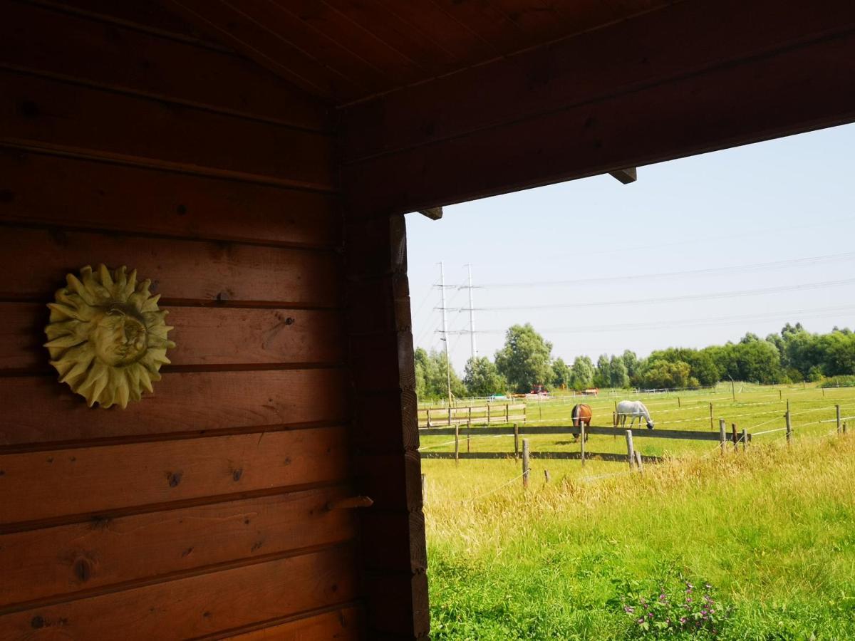 Ruime Romantische Blokhut Zwaanshoek Exteriér fotografie