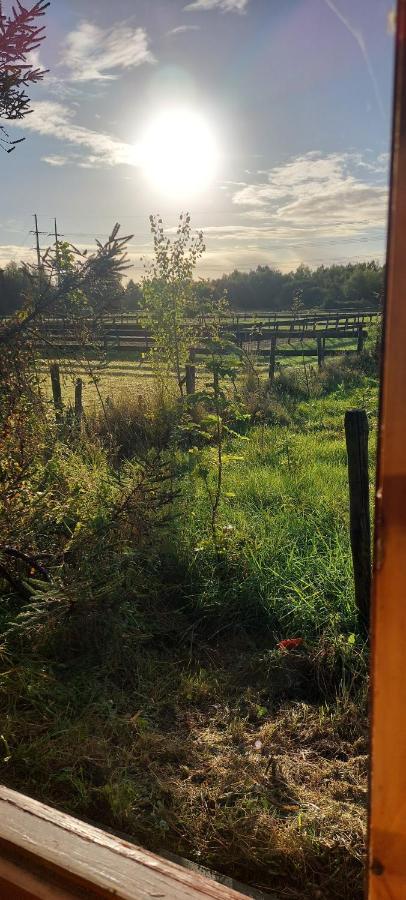 Ruime Romantische Blokhut Zwaanshoek Exteriér fotografie